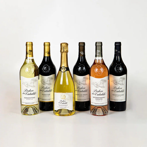 Podere don Cataldo - Tasting Experience