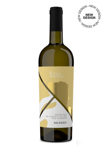 Velenosi – DOC Verdicchio dei Castelli di Jesi Classico 2023